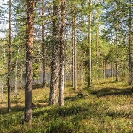 Casa vacanze Kulpakko 1 By Interhome Tiainen